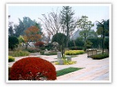 周りの景色を利用した借景の庭
